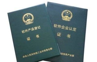 2019年成都雙軟評估,成都雙軟認(rèn)定申報指南